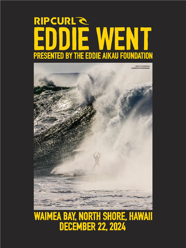 Rip Curl | Eddie Went Reversible Poster