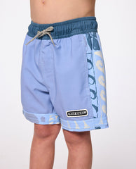 Rip Curl | Artist Of The Search Ty Williams Volley Boardshort - Boys (1-8 years)