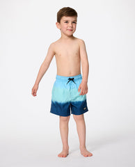 Rip Curl | Dip Volley Boardshort - Boys (1-8 years)